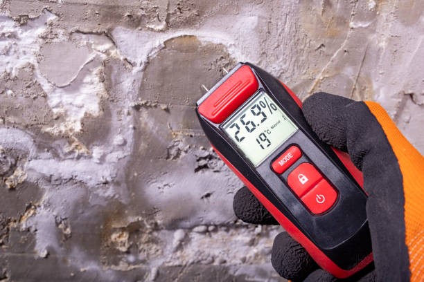 Best Emergency Mold Remediation in Henderson, TN