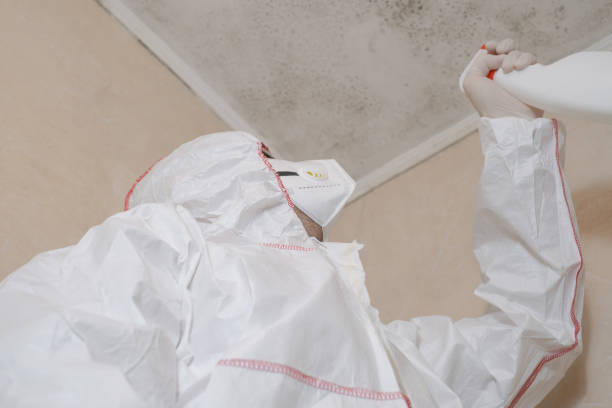 Best Attic Mold Remediation in Henderson, TN
