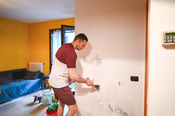 Henderson, TN Mold Remediation Company